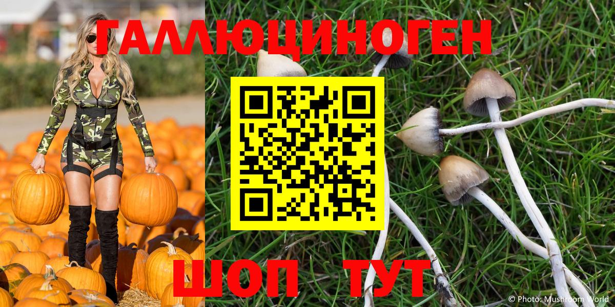 Галлюциногенные грибы Psilocybine cubensis Топки